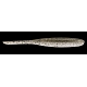 KEI SHAD5 416 Large