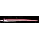 PRO RIGG 24 02 Large